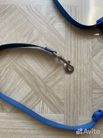 Поводок для бега с собакой