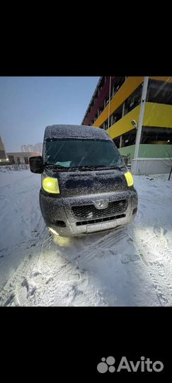 Грузоперевозки