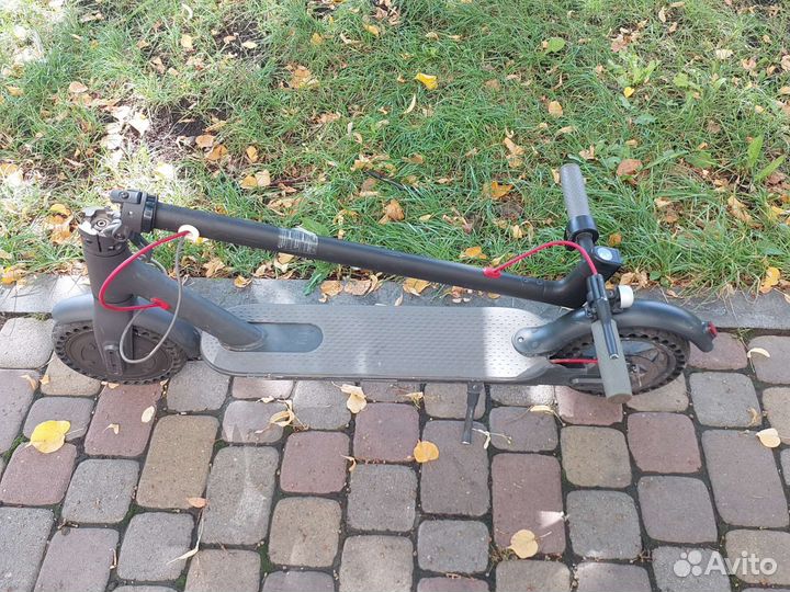 Самокат Xiaomi M365