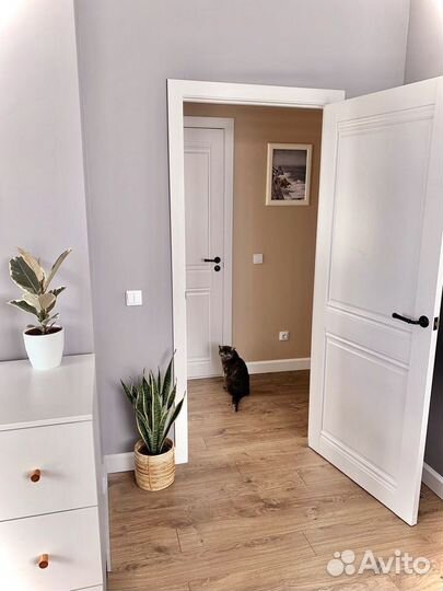 Дверь межкомнатная