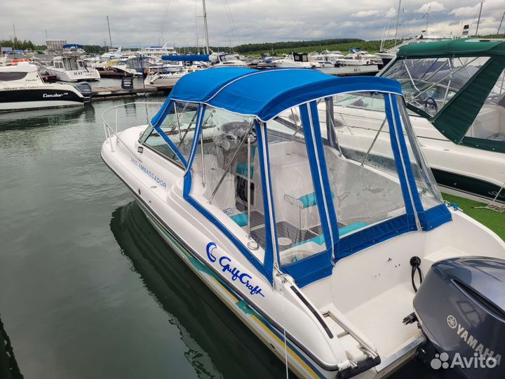 Ambassador 24