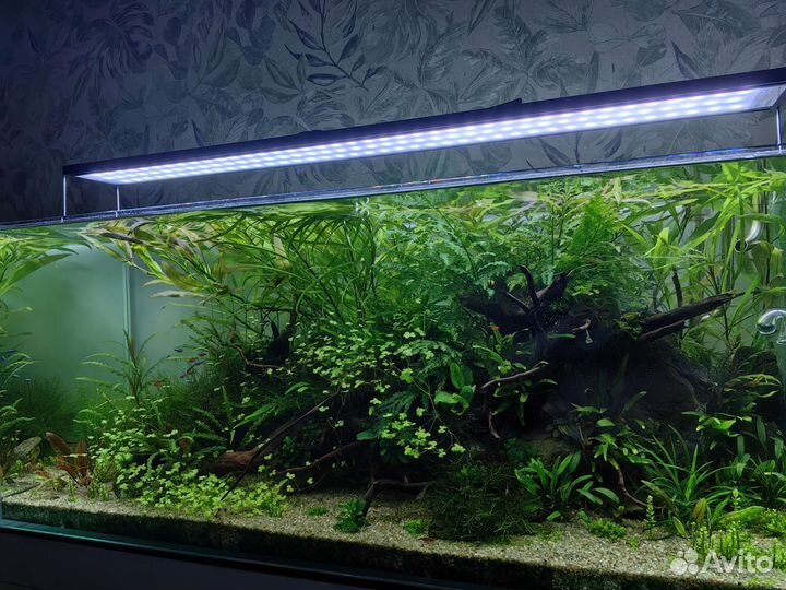 Аквариум 300 литров