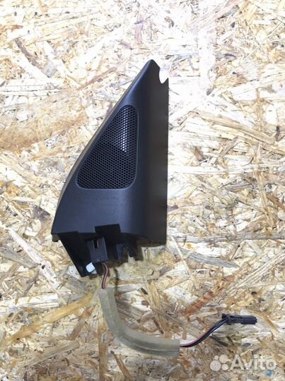 Правый Динамик,Твитер, Пищалка Passat B7