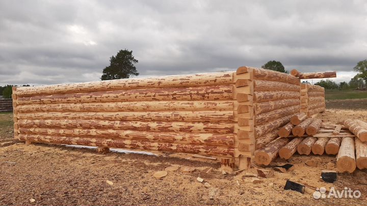 Срубы для Дома и Бани из Марийского зимнего леса