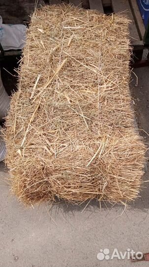 Солома пшеничная в Ставрополе
