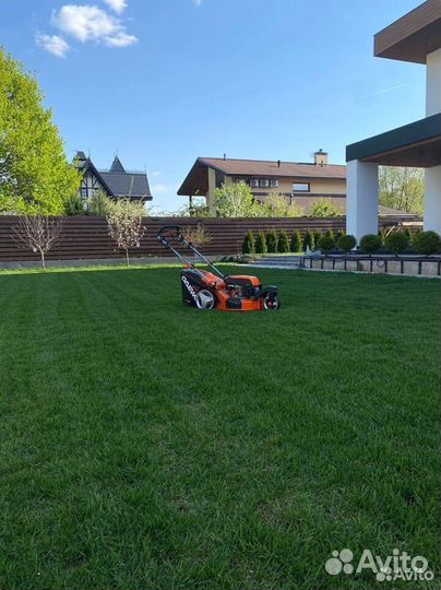 Рулонный газон, озеленение, благоустройство