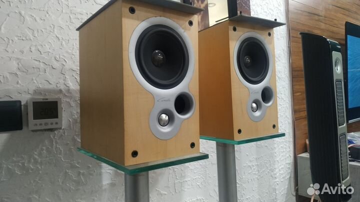Акустика kef со стойками натуральный шпон