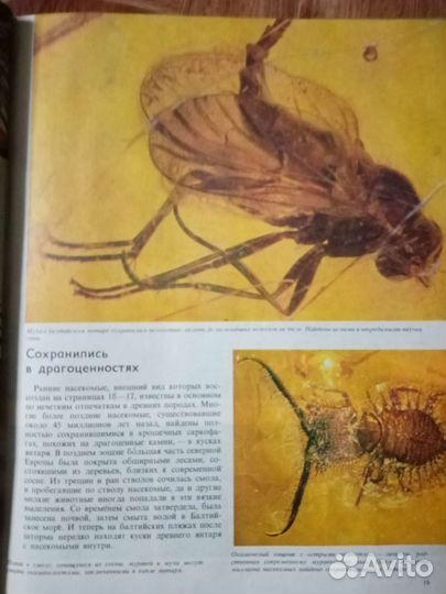 Книга Фарб Насекомые