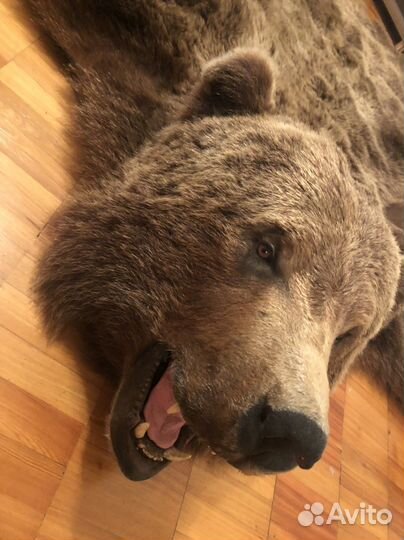 Шкура медведя имитация