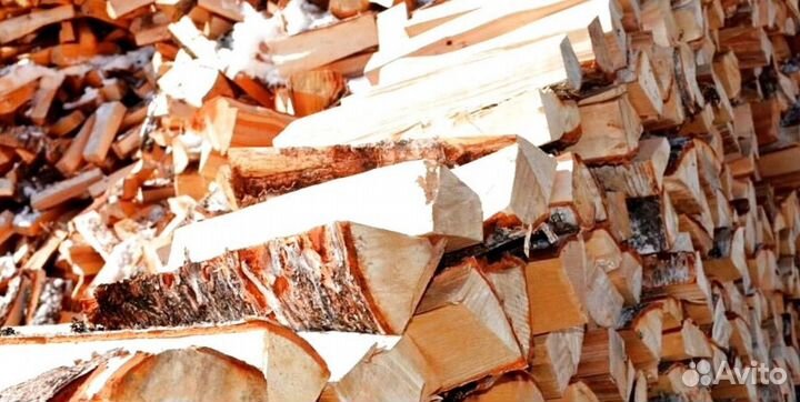 Дрова с Зеленогорска