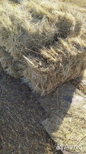 Сено луговое в тюках