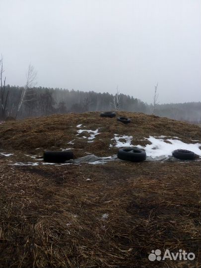 Продам сенаж