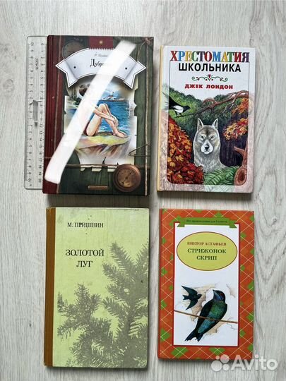 Школьная программа Книги