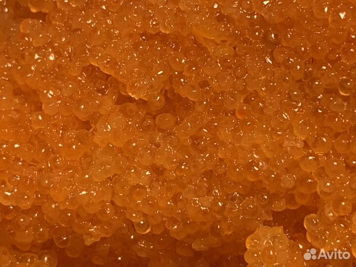 Икра сига красная