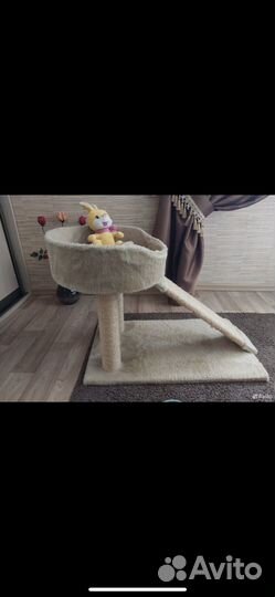 Когтеточка