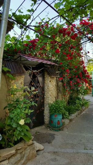 Дом 50 м² на участке 1 сот.