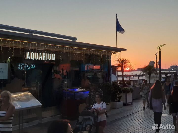 Раннер / помощник официанта