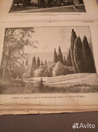 Журнал,Родина