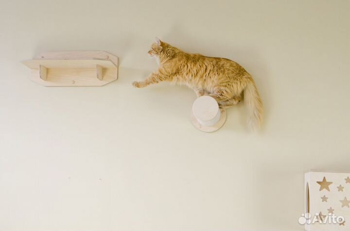 Настенный комплекс изделия для кошек 