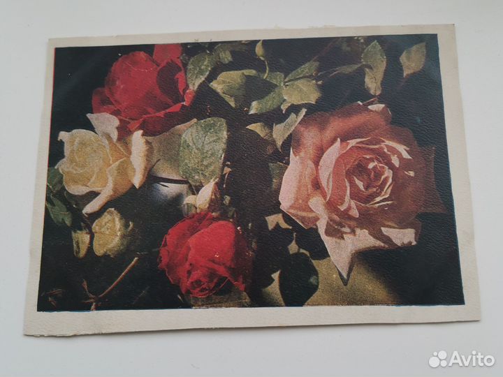 Открытка СССР с цветами