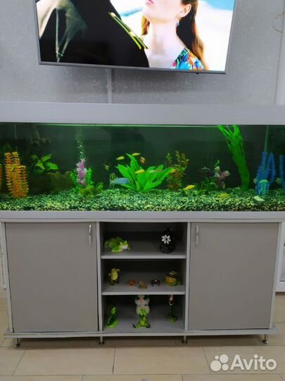 Установка, чистка, обслуживание пресноводных аквар