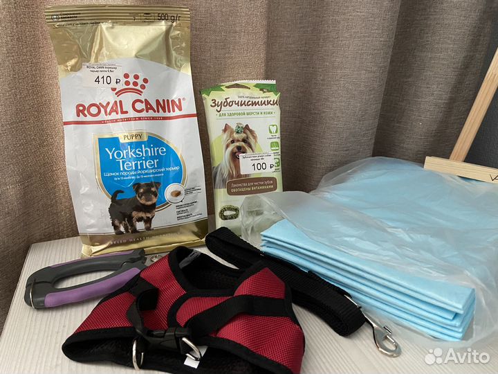 Всё для собак