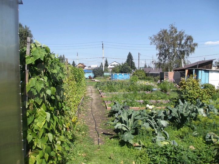 Дача 54 м² на участке 12 сот.