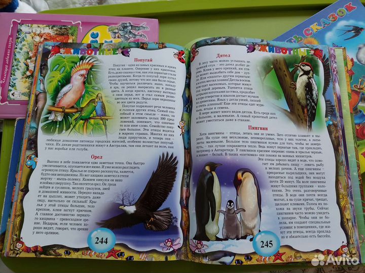 Пакет книг и игрушек