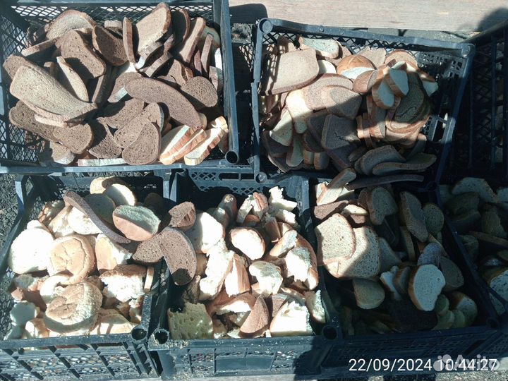 Хлеб, сухари на корм животным