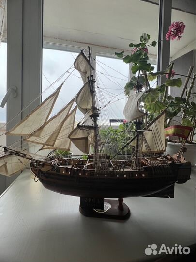 Коллекционные модели