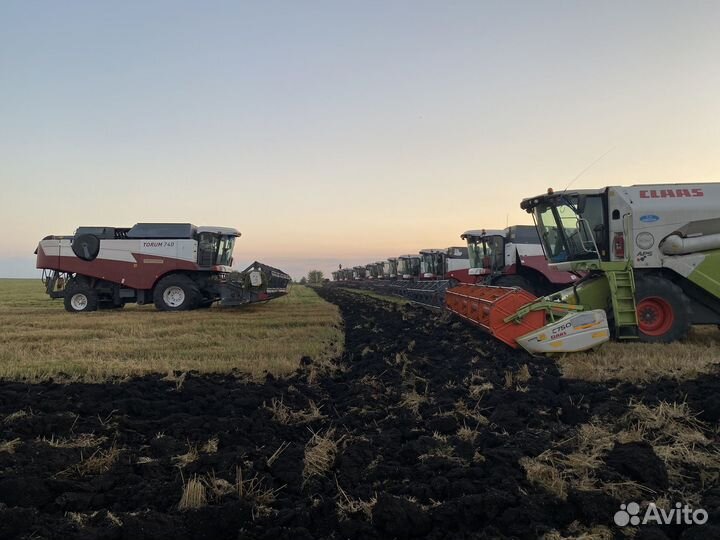 Уборка урожая подсолнечника, сои, лен.2023