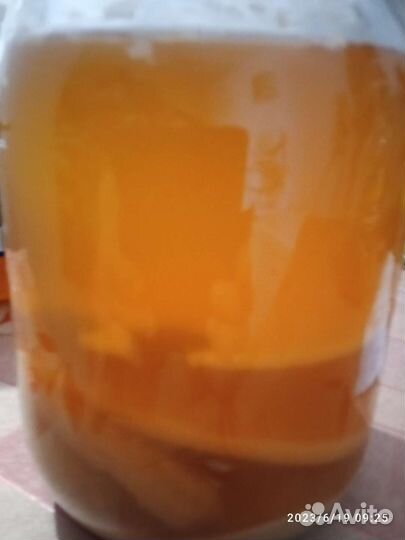 Яблочный уксус органический живой