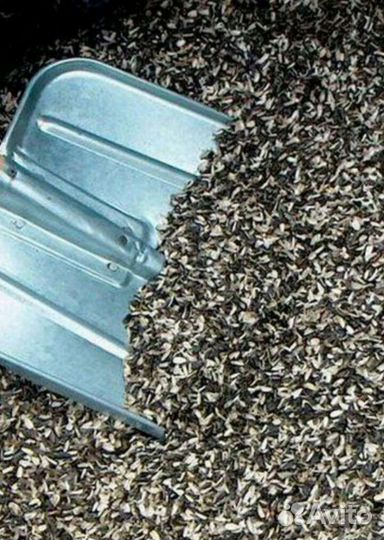 Лузга шелуха подсолнечника