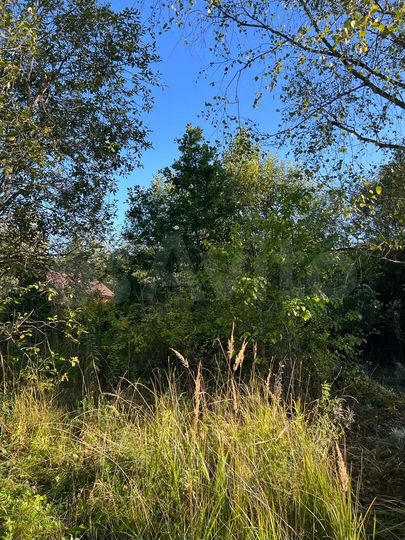 Участок 8 сот. (СНТ, ДНП)