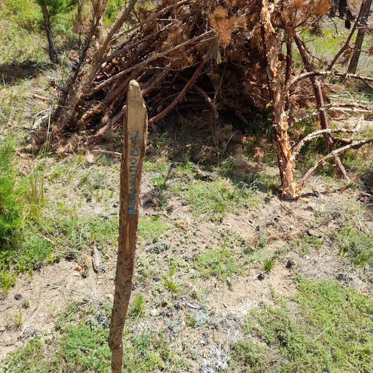 Участок 15 сот. (ИЖС)