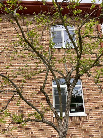 Дом 140 м² на участке 5 сот.