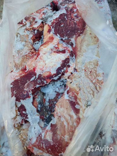 Мясо для собак