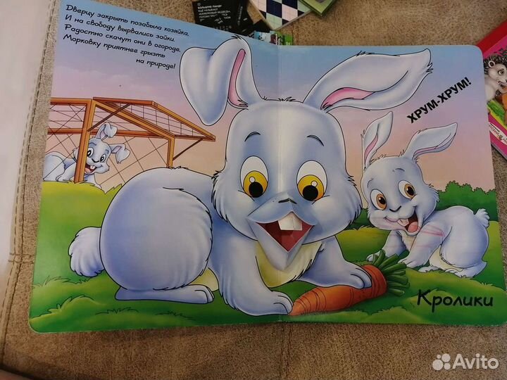 Книга раскладушка б/у