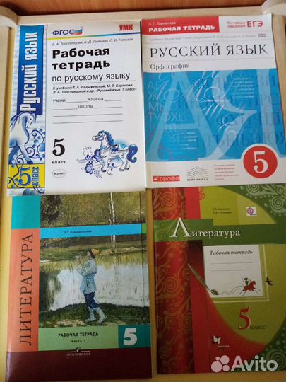 Рабочие тетради 5 класс