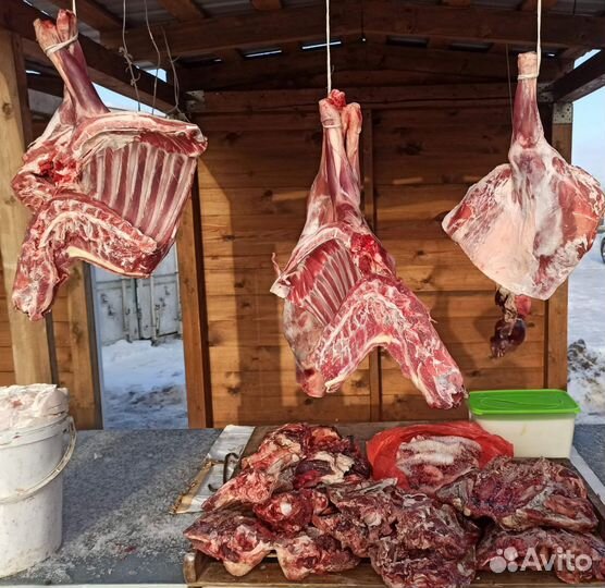 Продам мясо барана