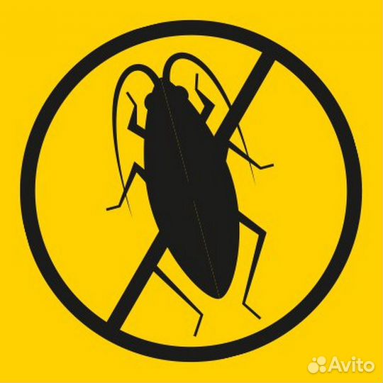 Дезинфекция, травля клопов тараканов