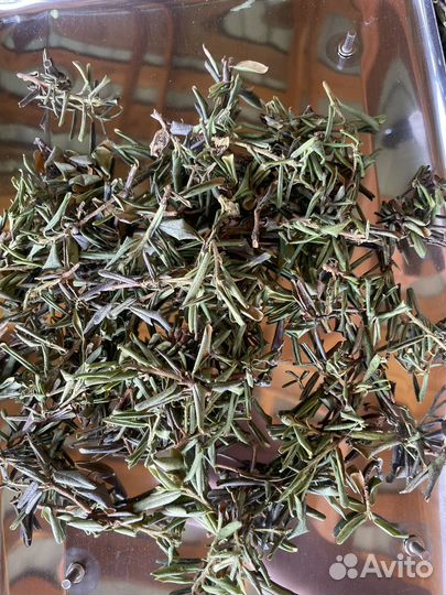 Саган дайля