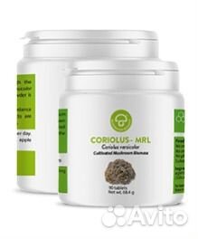 Cultivation Process of Coriolus MRL