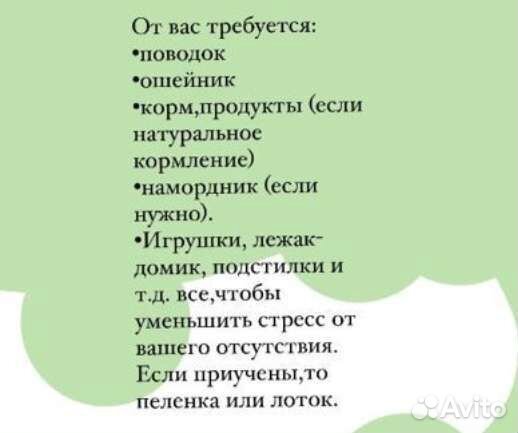 Передержка собак маленьких пород