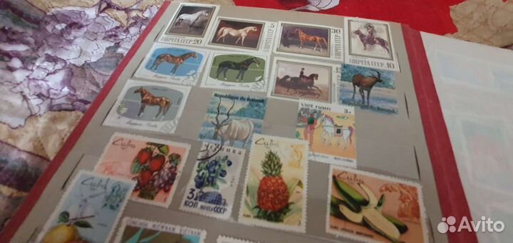 Почтовые марки мира