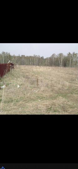 Участок 11 сот. (ИЖС)