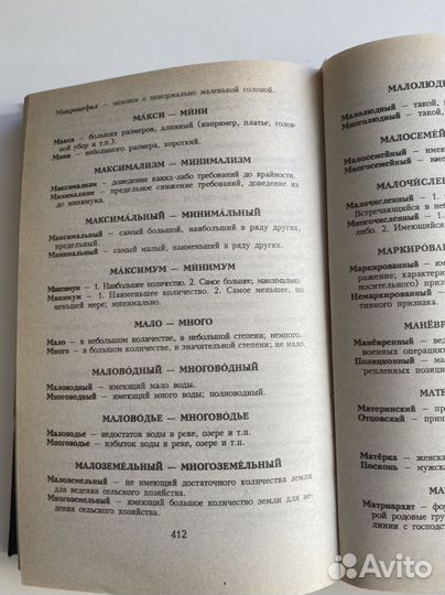 Словарь паронимов и антонимов