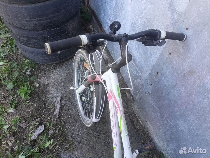 Велосипед stinger latina 24