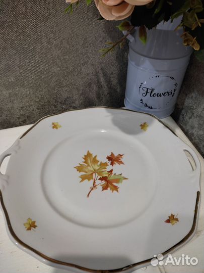 Большие блюда дулево