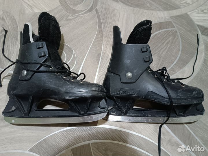 Коньки Динамо